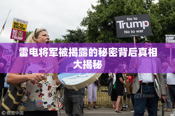 雷电将军被揭露的秘密背后真相大揭秘