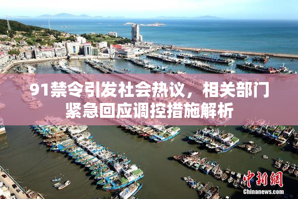 91禁令引发社会热议，相关部门紧急回应调控措施解析
