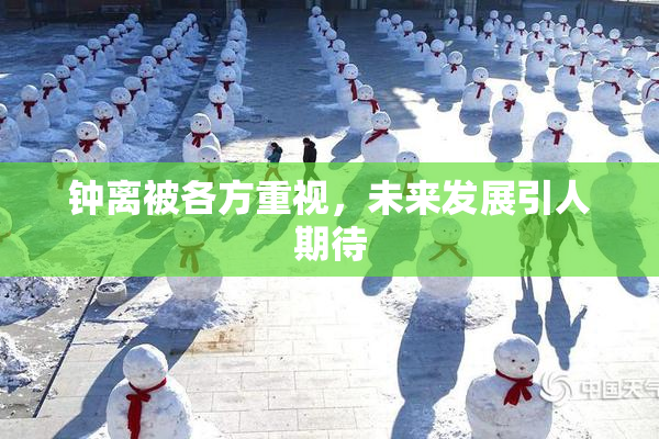 钟离被各方重视，未来发展引人期待