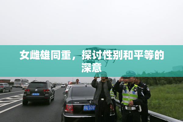 女雌雄同重，探讨性别和平等的深意