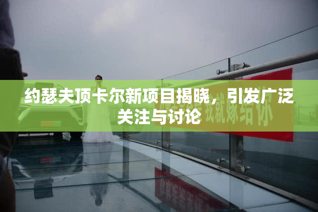约瑟夫顶卡尔新项目揭晓，引发广泛关注与讨论