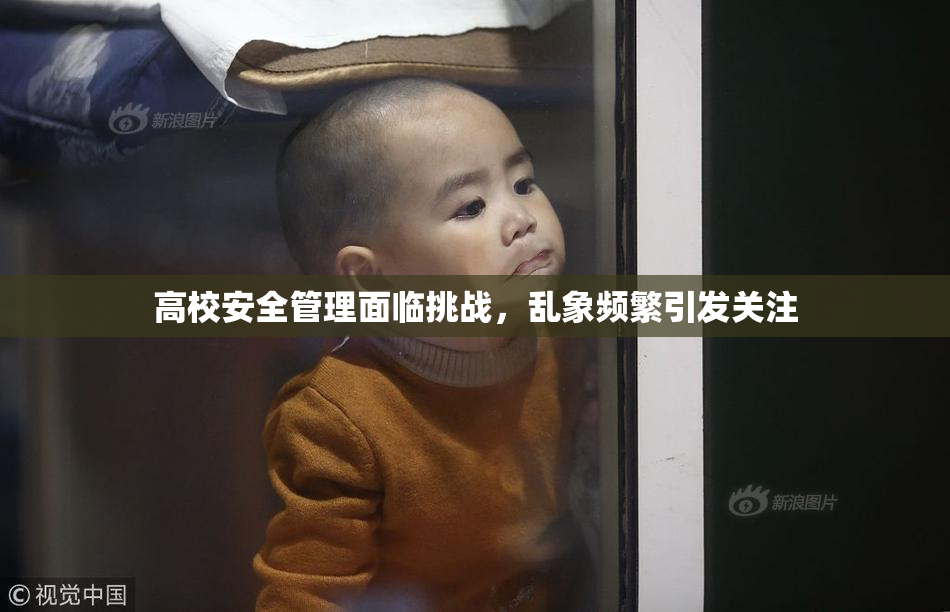 高校安全管理面临挑战，乱象频繁引发关注