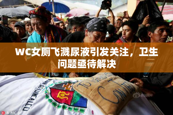 WC女厕飞溅尿液引发关注，卫生问题亟待解决