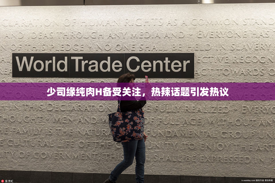 少司缘纯肉H备受关注，热辣话题引发热议