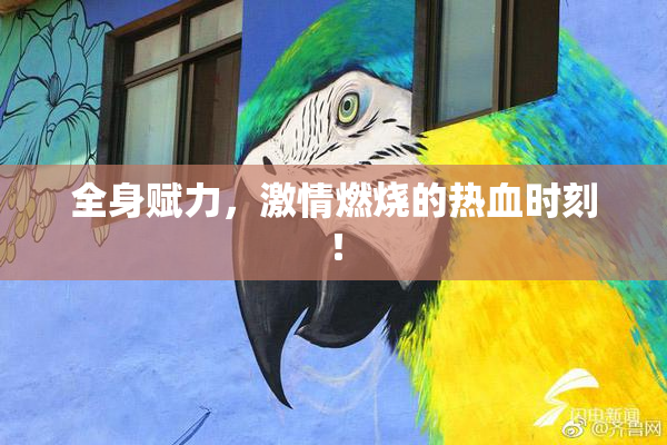 全身赋力，激情燃烧的热血时刻！