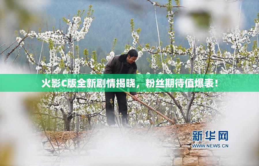 火影C版全新剧情揭晓，粉丝期待值爆表！