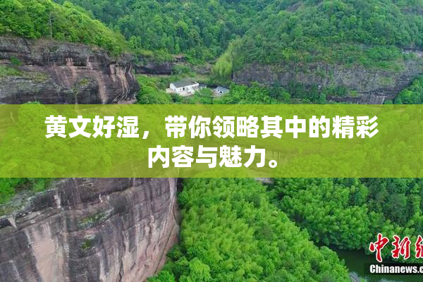 黄文好湿，带你领略其中的精彩内容与魅力。