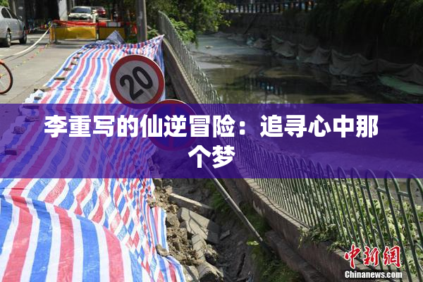 李重写的仙逆冒险：追寻心中那个梦