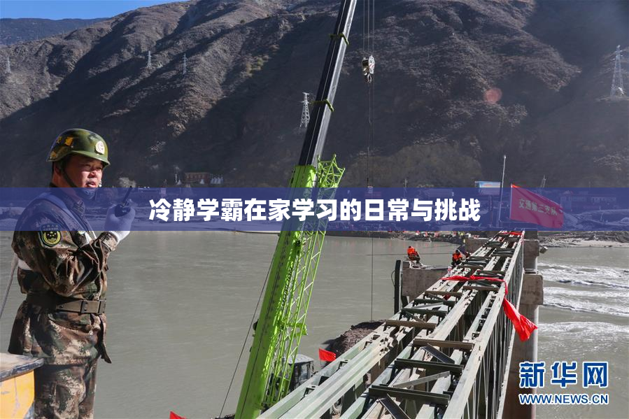 冷静学霸在家学习的日常与挑战