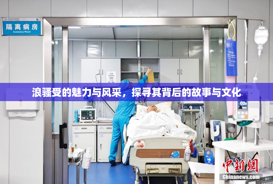 浪骚受的魅力与风采，探寻其背后的故事与文化
