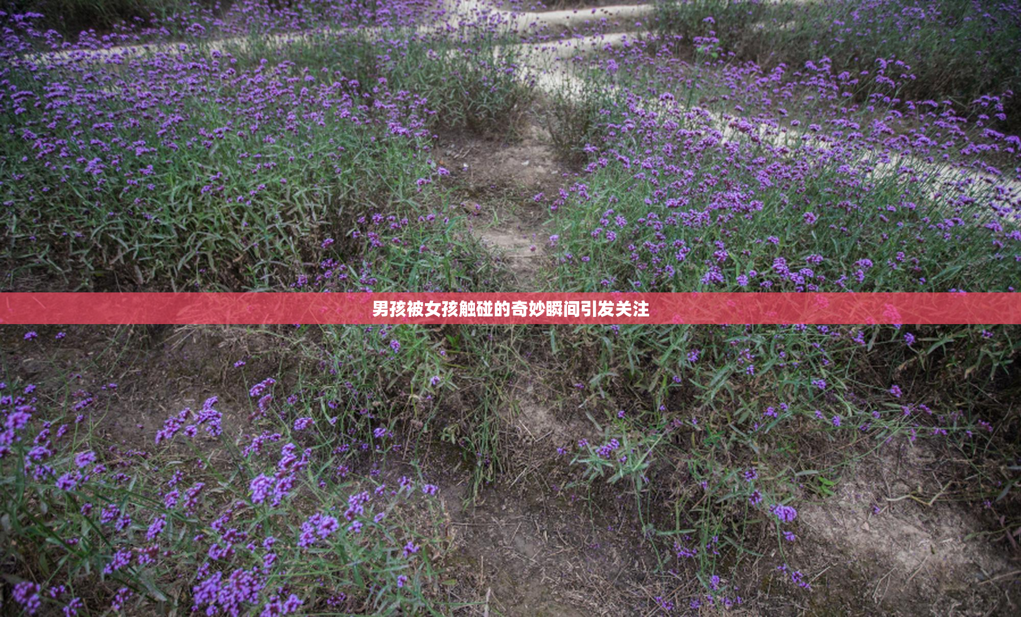 男孩被女孩触碰的奇妙瞬间引发关注