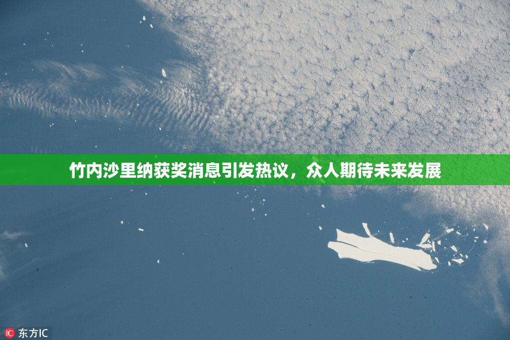 竹内沙里纳获奖消息引发热议，众人期待未来发展