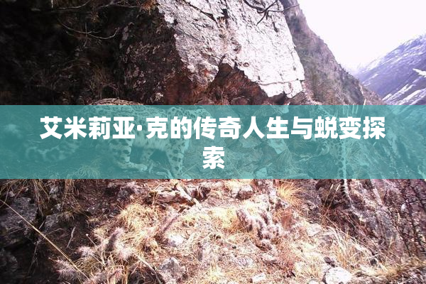 艾米莉亚·克的传奇人生与蜕变探索