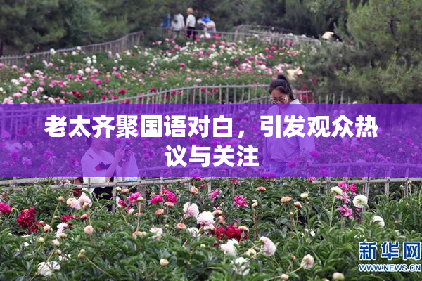 老太齐聚国语对白，引发观众热议与关注