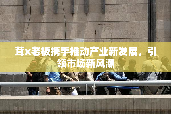 茸x老板携手推动产业新发展，引领市场新风潮