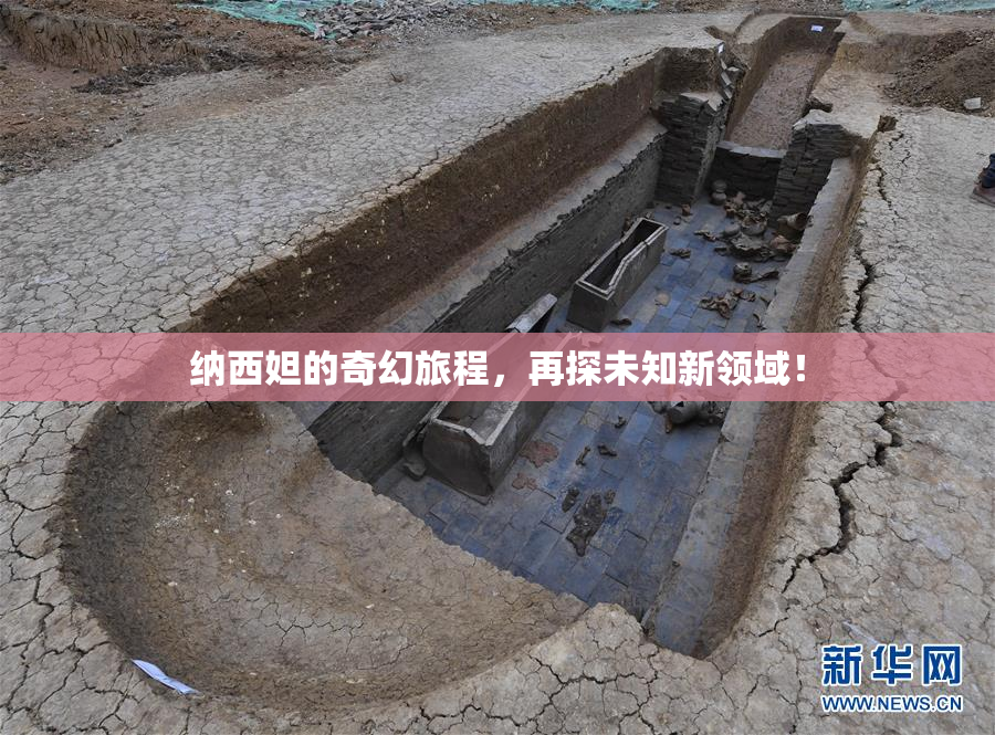 纳西妲的奇幻旅程，再探未知新领域！