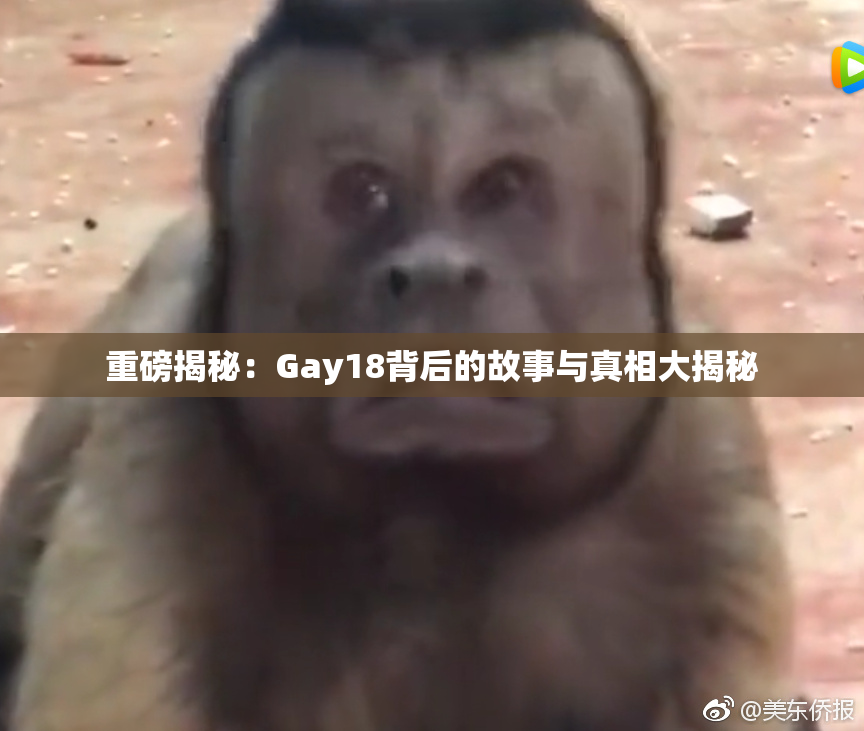 重磅揭秘：Gay18背后的故事与真相大揭秘
