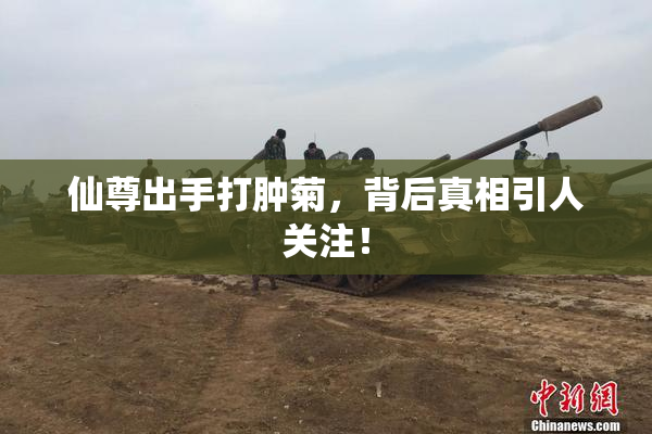 仙尊出手打肿菊，背后真相引人关注！