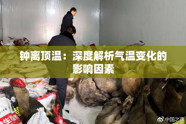 钟离顶温：深度解析气温变化的影响因素