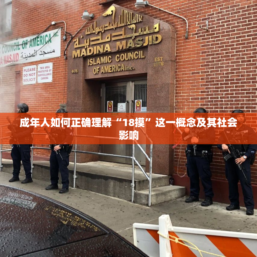 成年人如何正确理解“18摸”这一概念及其社会影响