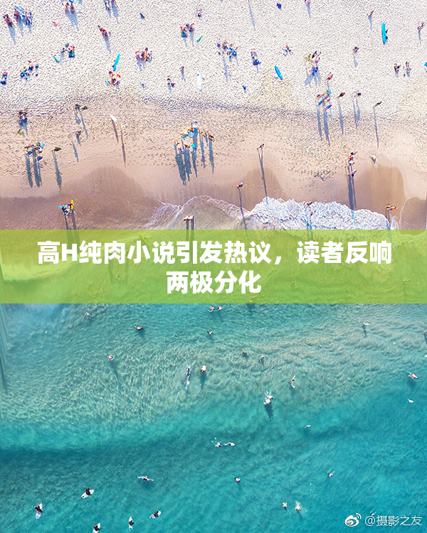 高H纯肉小说引发热议，读者反响两极分化