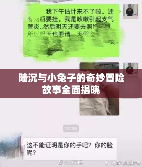 陆沉与小兔子的奇妙冒险故事全面揭晓