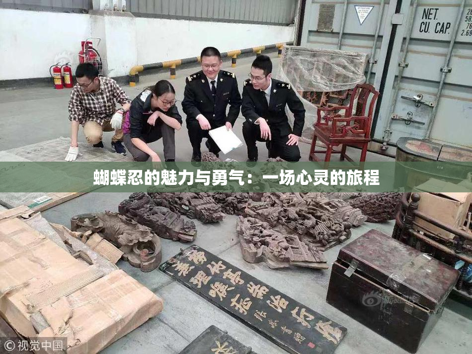 蝴蝶忍的魅力与勇气：一场心灵的旅程