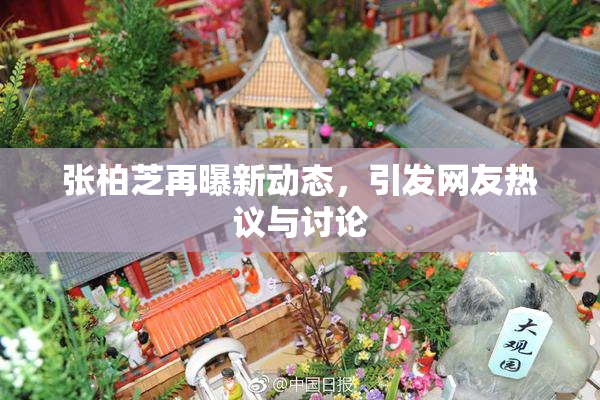 张柏芝再曝新动态，引发网友热议与讨论