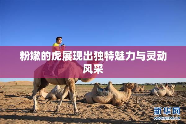 粉嫩的虎展现出独特魅力与灵动风采