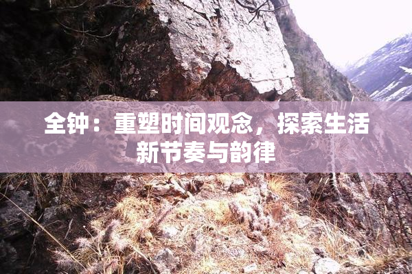 全钟：重塑时间观念，探索生活新节奏与韵律