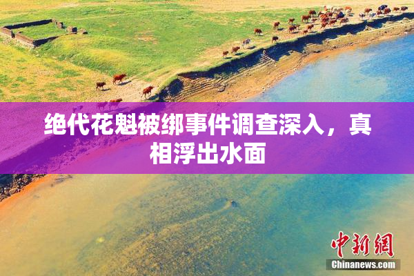 绝代花魁被绑事件调查深入，真相浮出水面