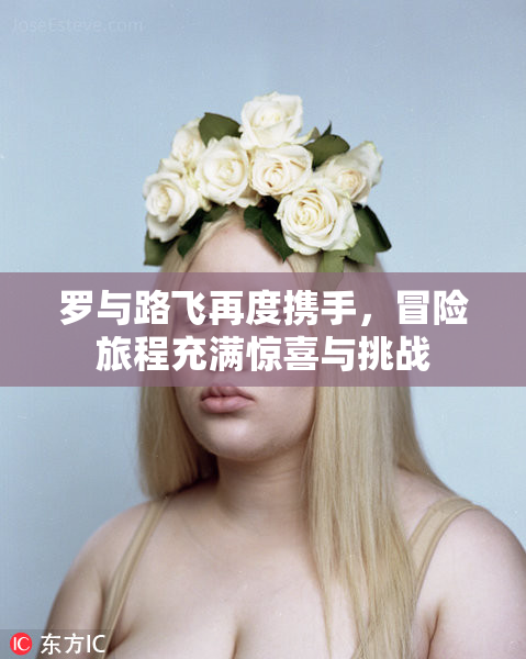 罗与路飞再度携手，冒险旅程充满惊喜与挑战