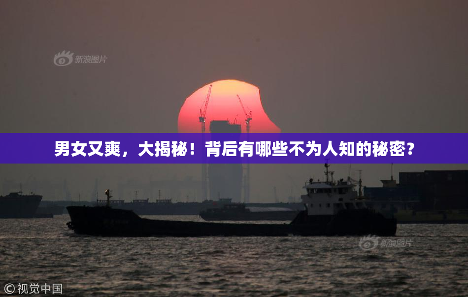 男女又爽，大揭秘！背后有哪些不为人知的秘密？