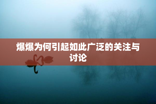爆爆为何引起如此广泛的关注与讨论
