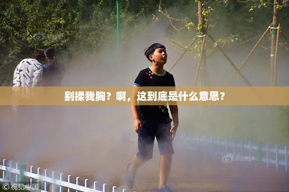 别揉我胸？啊，这到底是什么意思？