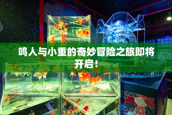 鸣人与小重的奇妙冒险之旅即将开启！