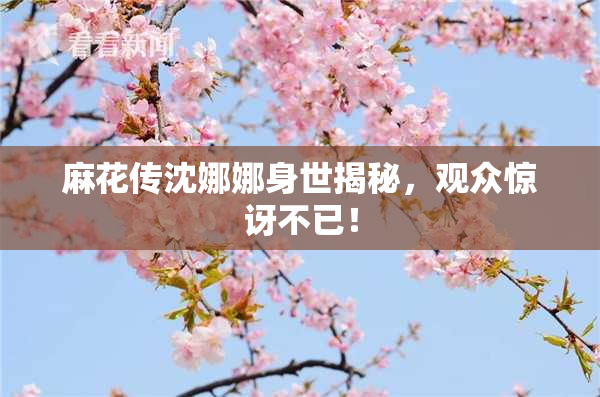 麻花传沈娜娜身世揭秘，观众惊讶不已！