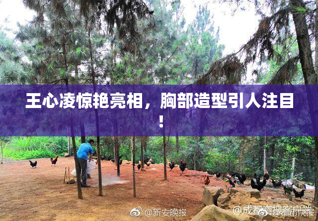 王心凌惊艳亮相，胸部造型引人注目！