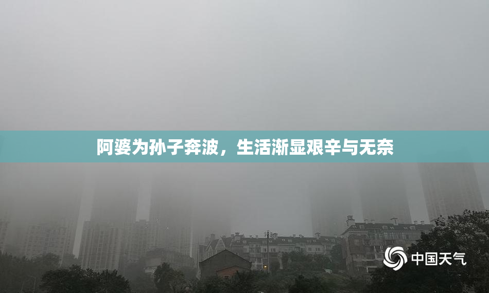 阿婆为孙子奔波，生活渐显艰辛与无奈