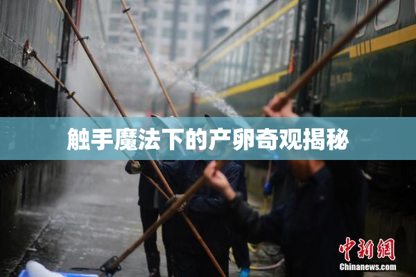 触手魔法下的产卵奇观揭秘