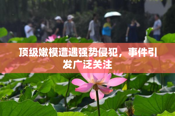 顶级嫩模遭遇强势侵犯，事件引发广泛关注