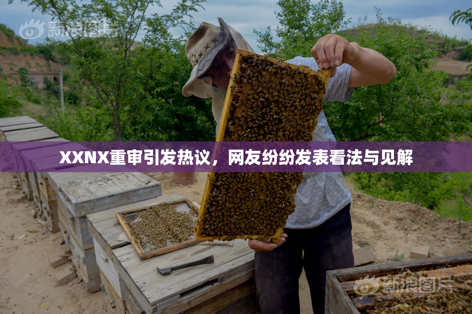 XXNX重审引发热议，网友纷纷发表看法与见解