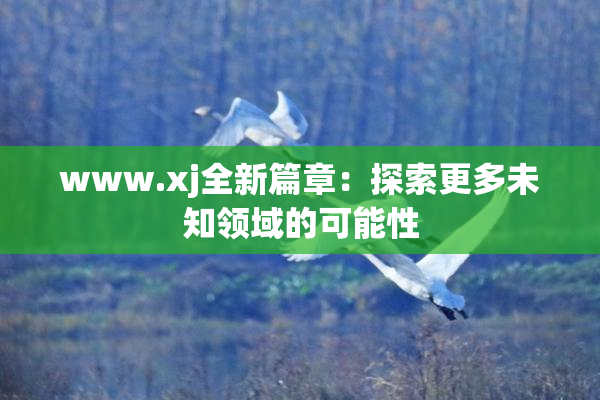 www.xj全新篇章：探索更多未知领域的可能性