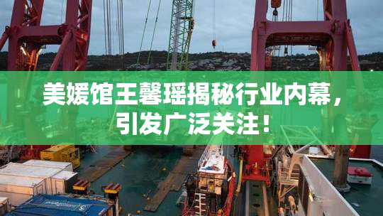 美媛馆王馨瑶揭秘行业内幕，引发广泛关注！
