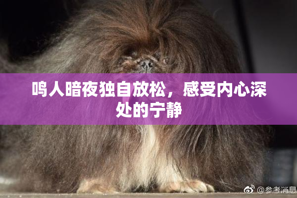 鸣人暗夜独自放松，感受内心深处的宁静