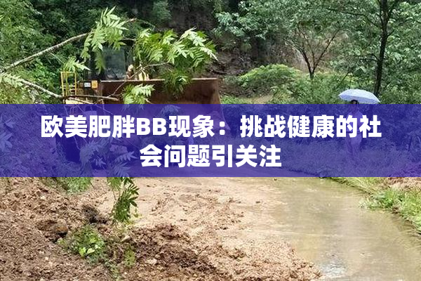 欧美肥胖BB现象：挑战健康的社会问题引关注