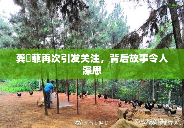 龚玥菲再次引发关注，背后故事令人深思