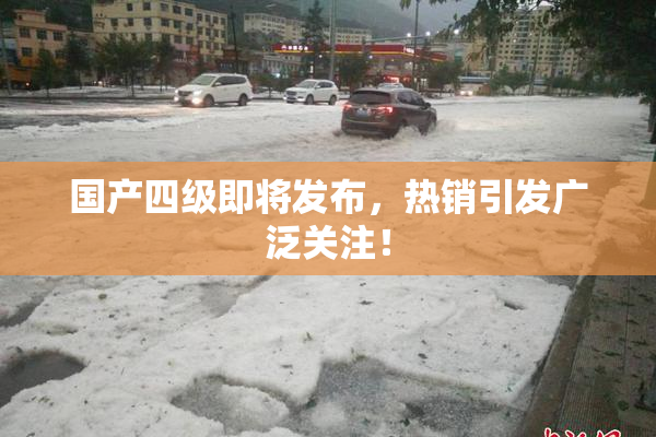 国产四级即将发布，热销引发广泛关注！