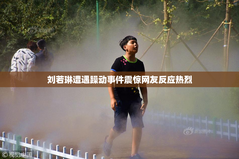 刘若琳遭遇躁动事件震惊网友反应热烈
