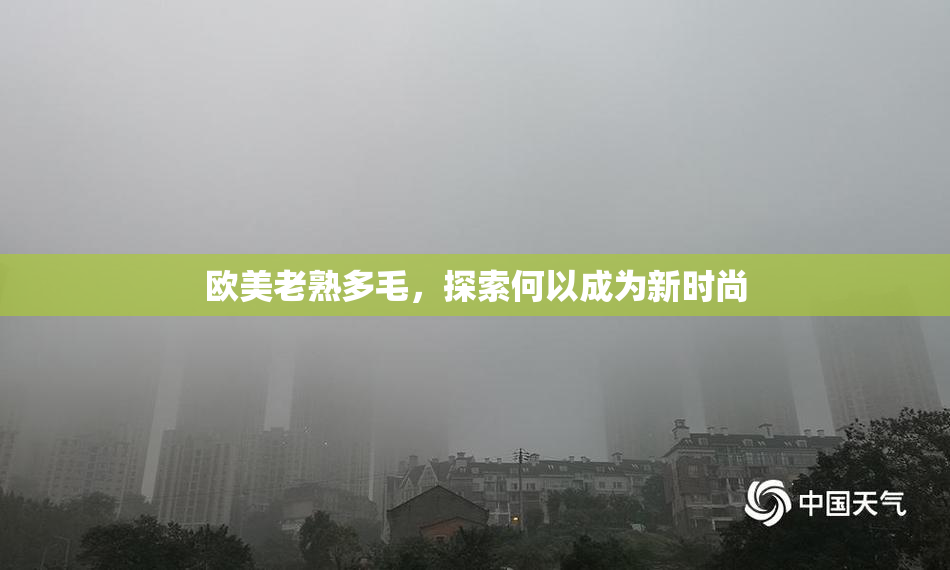 欧美老熟多毛，探索何以成为新时尚